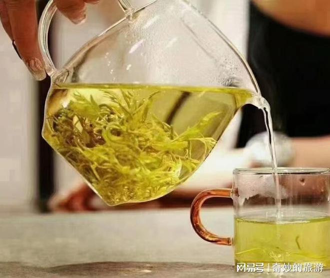 斤张家界莓茶价格多少钱怎么买都划算AG电玩国际张家界特产莓茶多少钱一